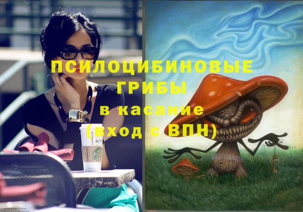 Альфа ПВП Аркадак