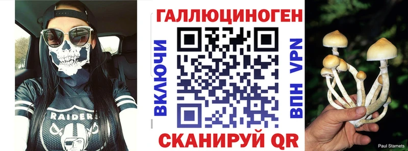 Псилоцибиновые грибы Psilocybine cubensis  Купить закладки  Чехов 